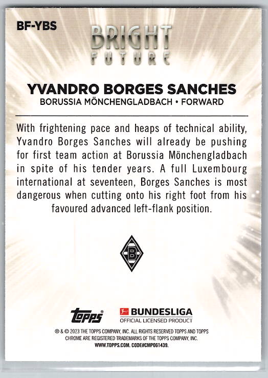 Yvandro Borges Sanches