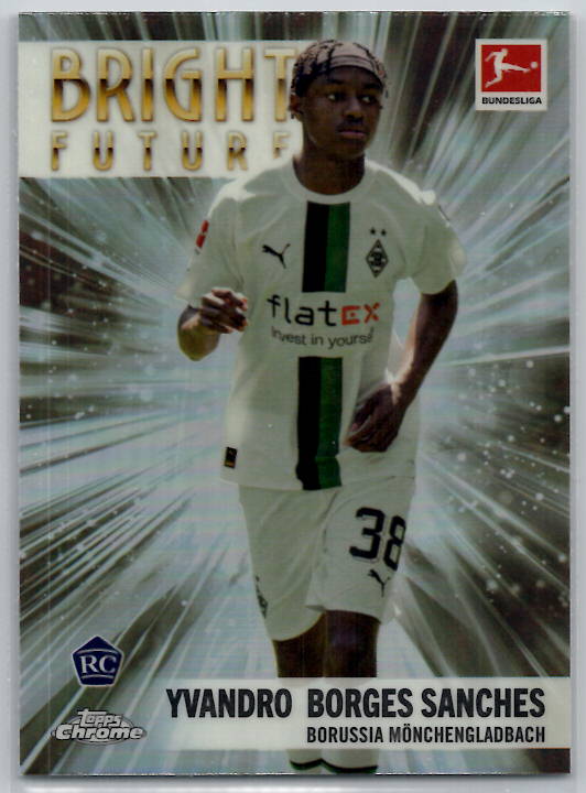 Yvandro Borges Sanches