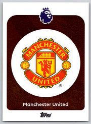 Team Logo