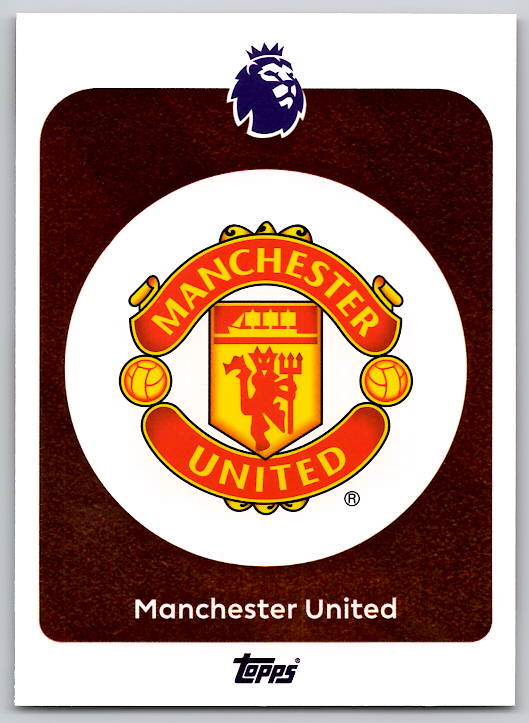 Team Logo