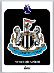 Team Logo