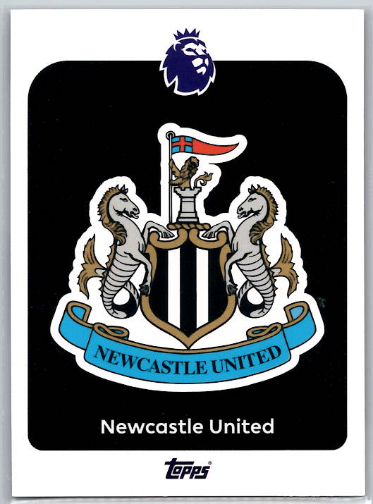 Team Logo