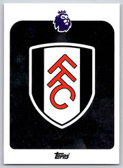 Team Logo