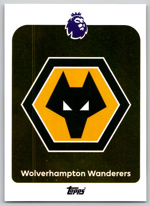 Team Logo