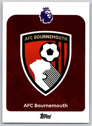 Team Logo