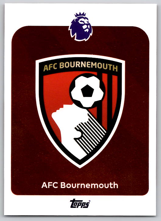 Team Logo