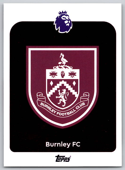 Team Logo
