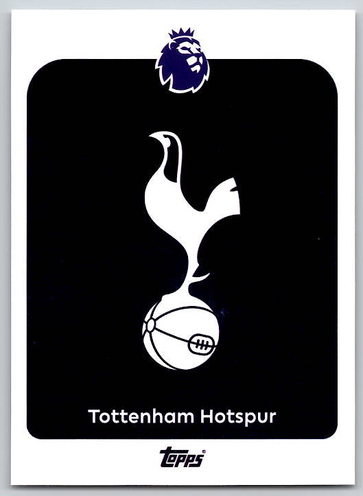 Team Logo