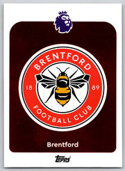 Team Logo