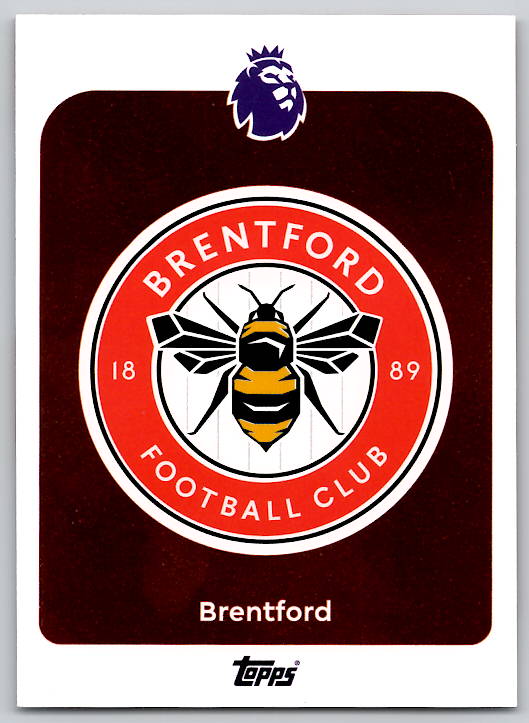 Team Logo