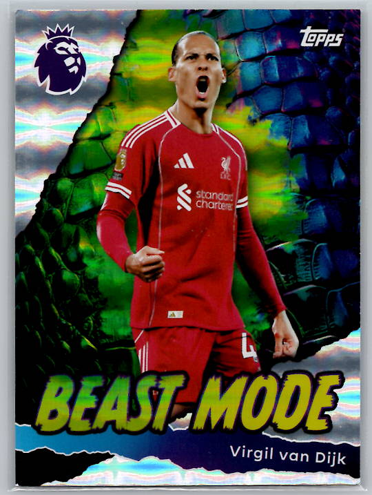 Virgil van Dijk