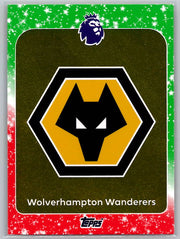 Team Logo