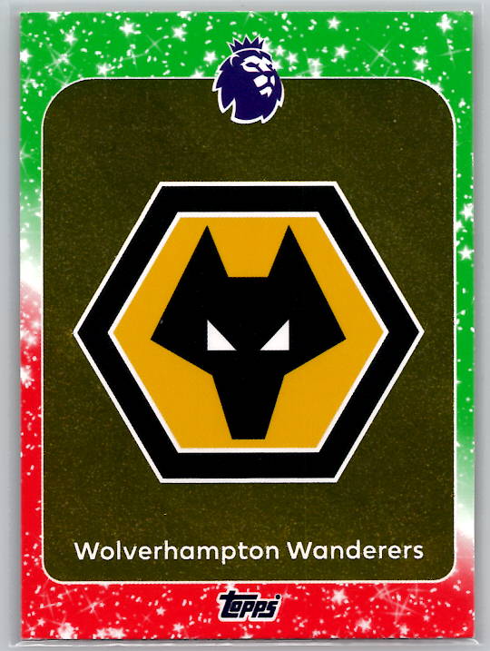 Team Logo