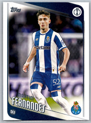 Martim Fernandes