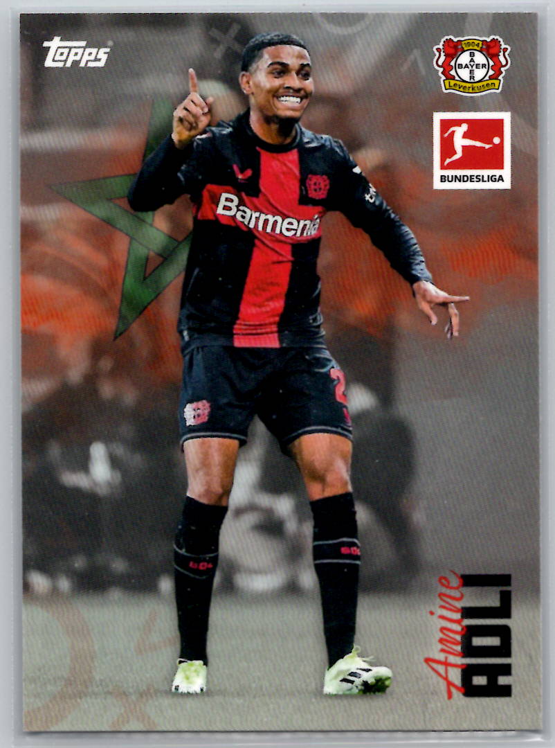 Amine Adli