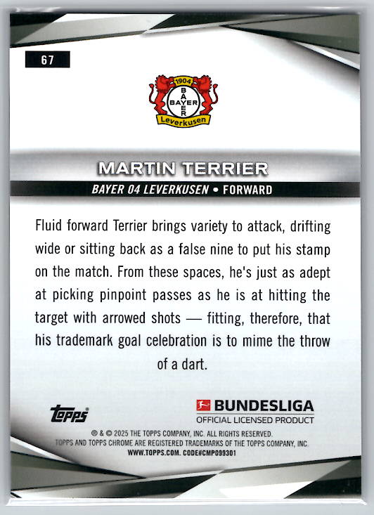 Martin Terrier