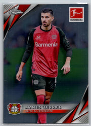 Martin Terrier