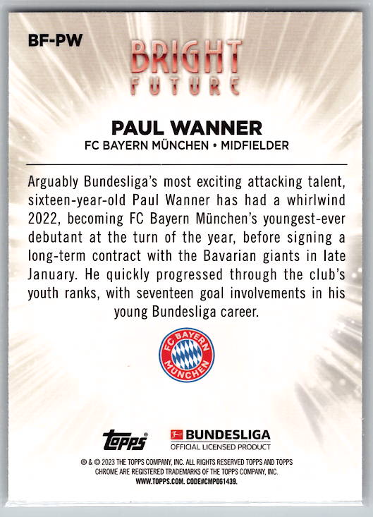 Paul Wanner