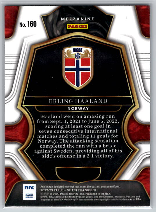 Erling Haaland