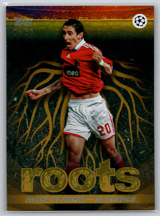 Ángel Di María