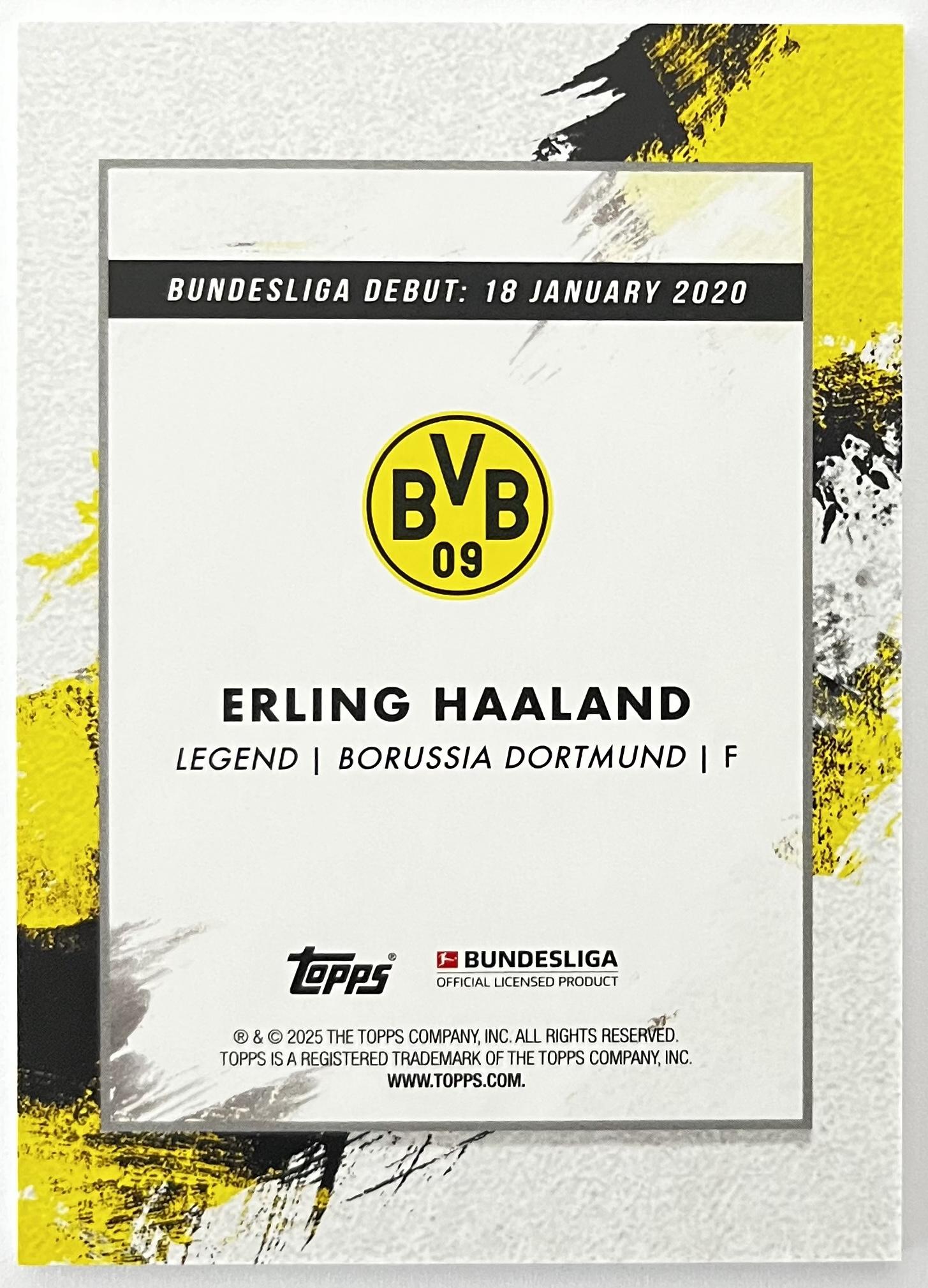Erling Haaland