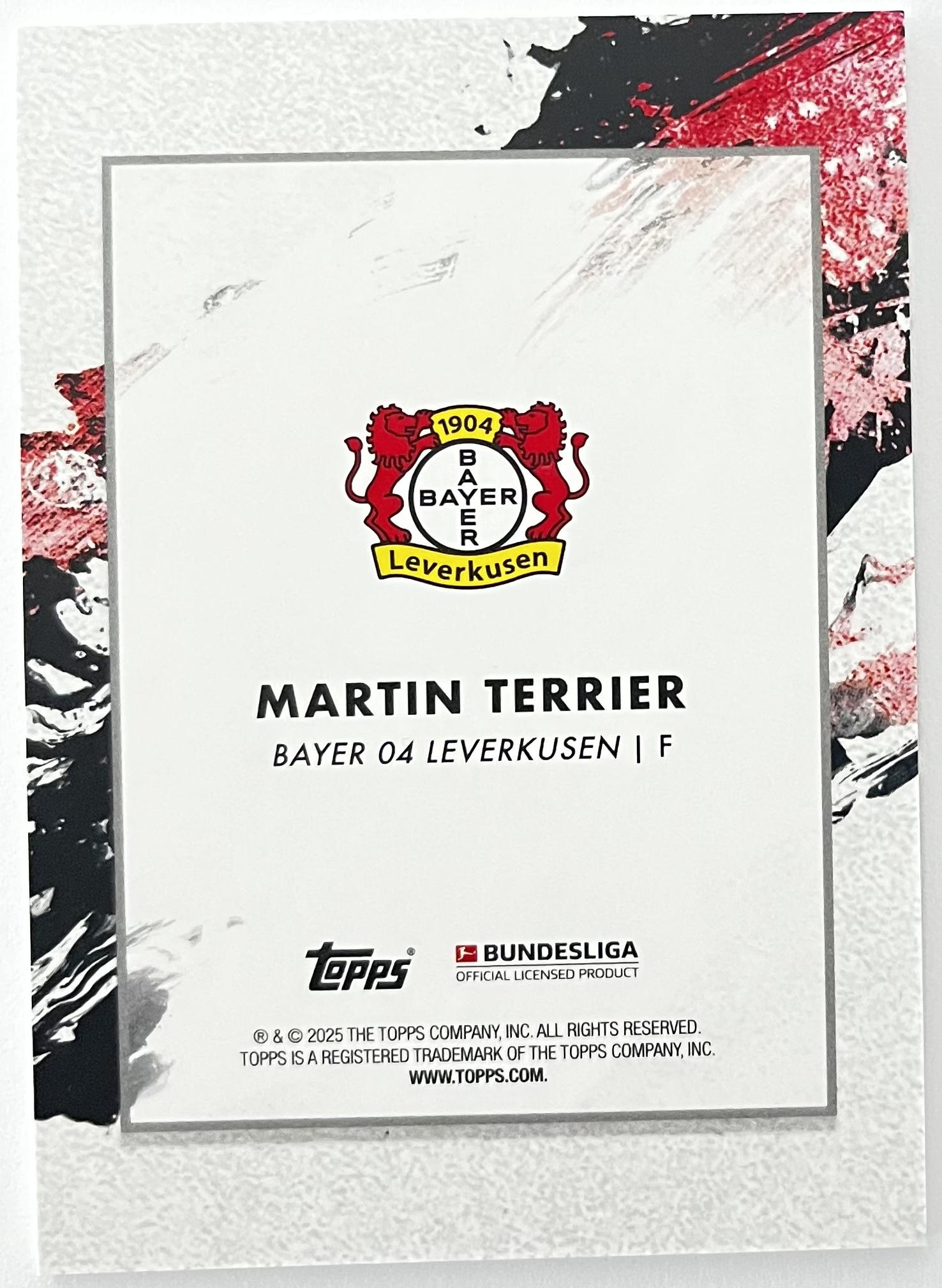 Martin Terrier